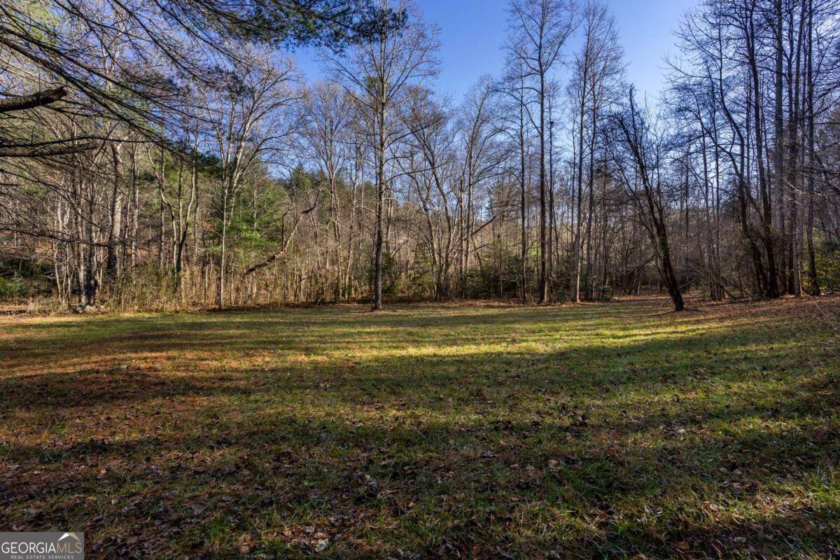 Blairsville, GA 30512,17 ACRES Mulky Branch LN #TR3