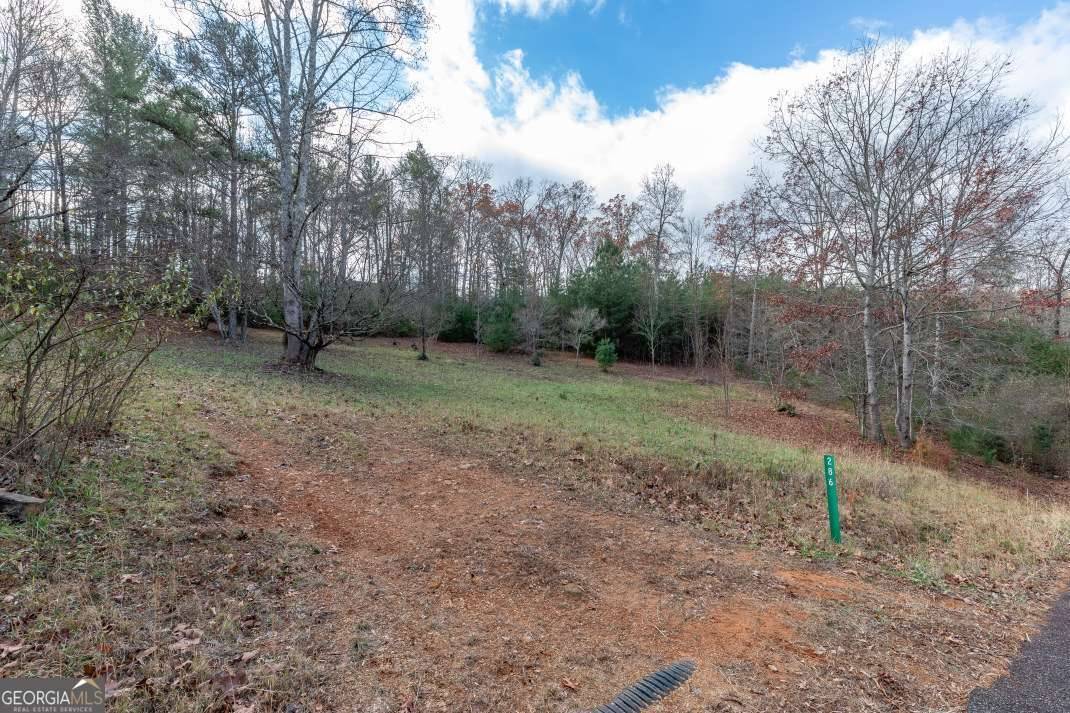 Blairsville, GA 30512,LOT 7 B & W Ranch Rd Lot 7