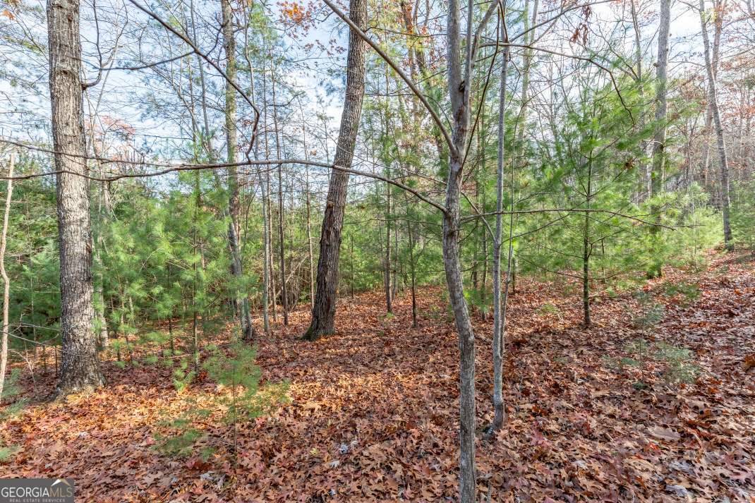 Blairsville, GA 30512,LOT 8 B & W Ranch Rd Lot 8