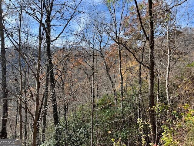 Hiawassee, GA 30546,LOT 19 The Highlands at Hightower Ridge