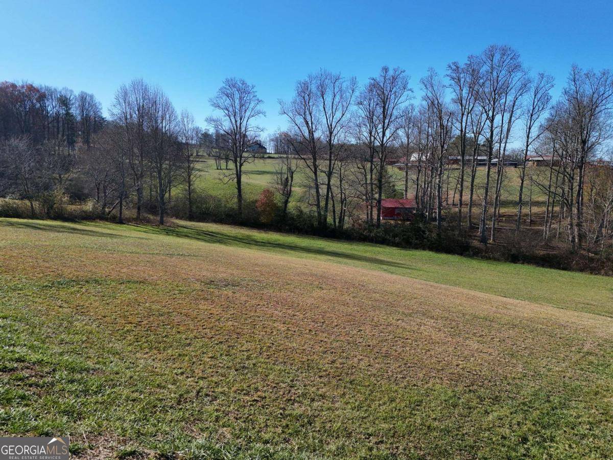 Blairsville, GA 30512,LOT 115 Owen Glen