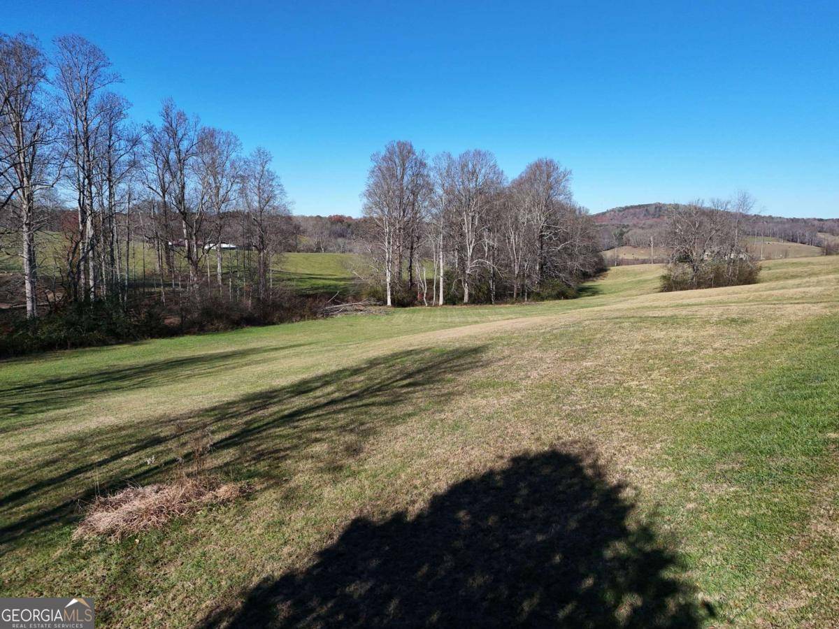 Blairsville, GA 30512,LOT 115 Owen Glen