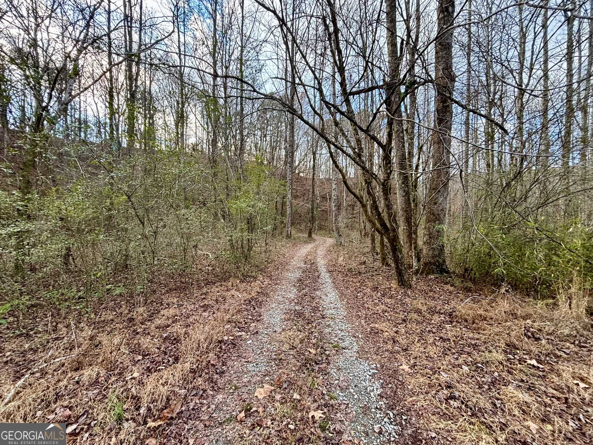 Cherry Log, GA 30522,367 AC River Escape TRL