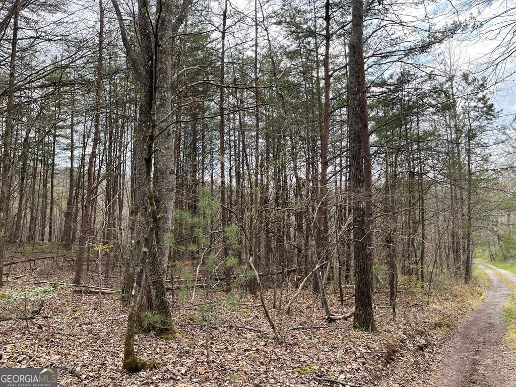 Hayesville, NC 28904,12.1 ACRES Laurel Branch Road