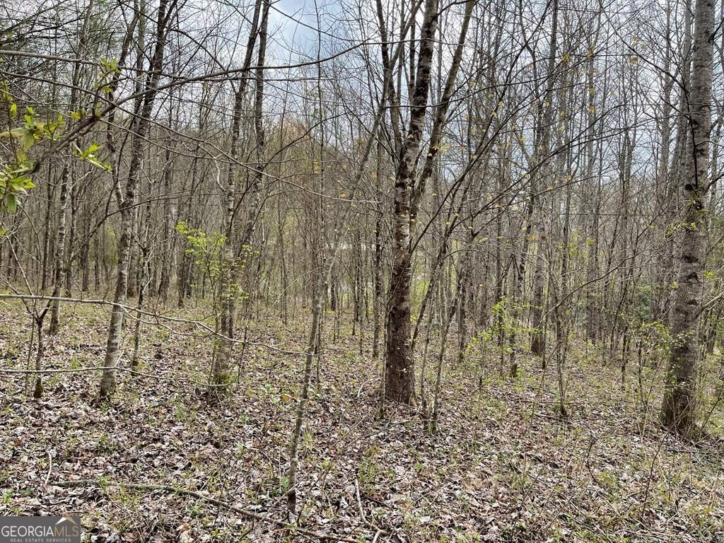 Hayesville, NC 28904,12.1 ACRES Laurel Branch Road