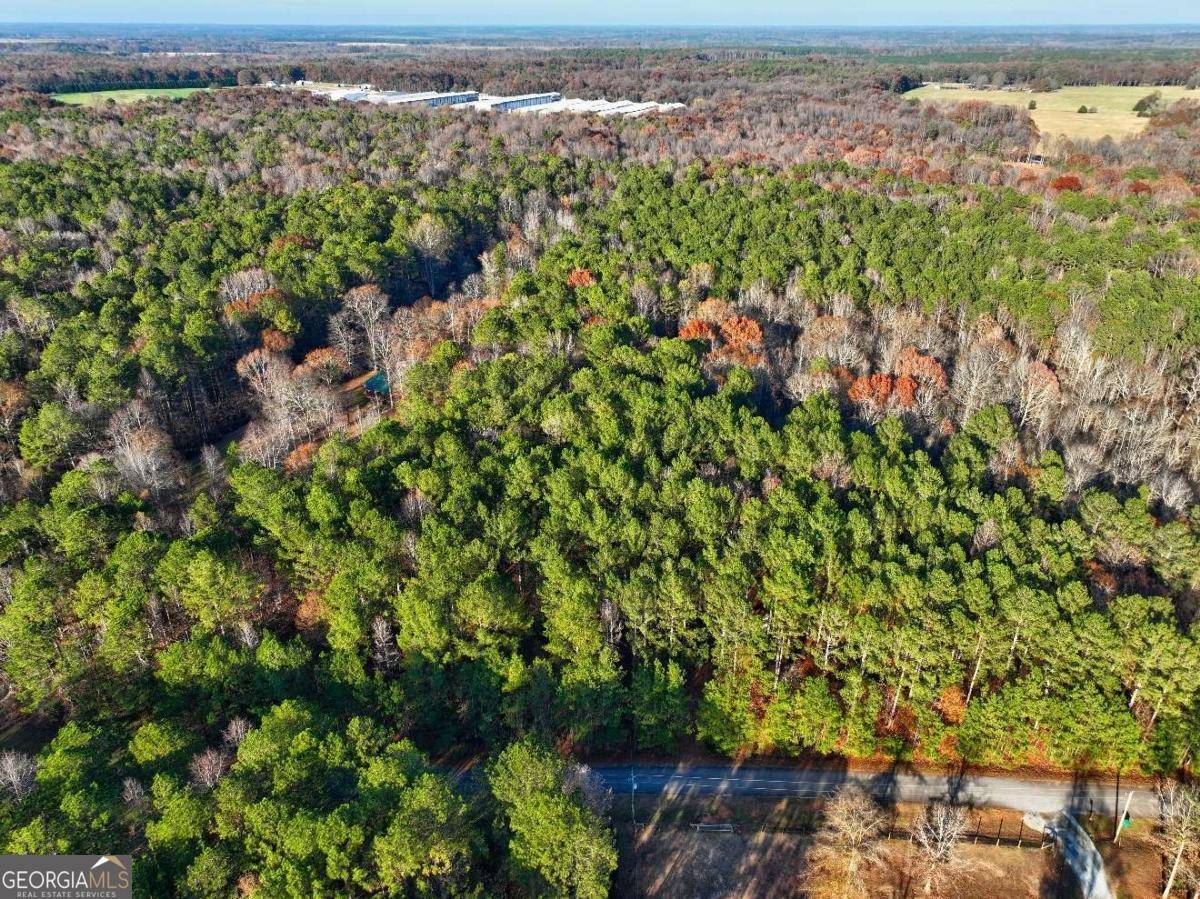 Monticello, GA 31064,LOT 122 Tamarack Road