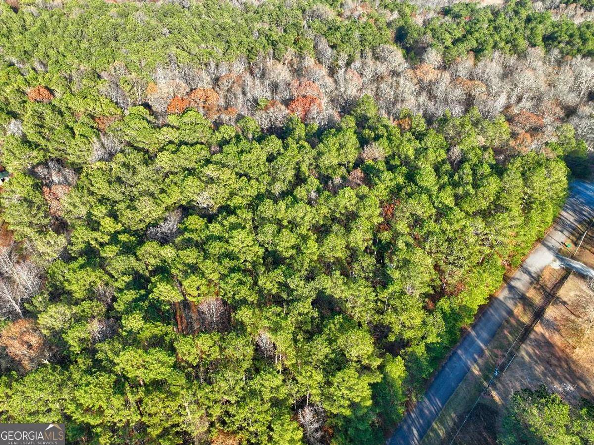 Monticello, GA 31064,LOT 122 Tamarack Road