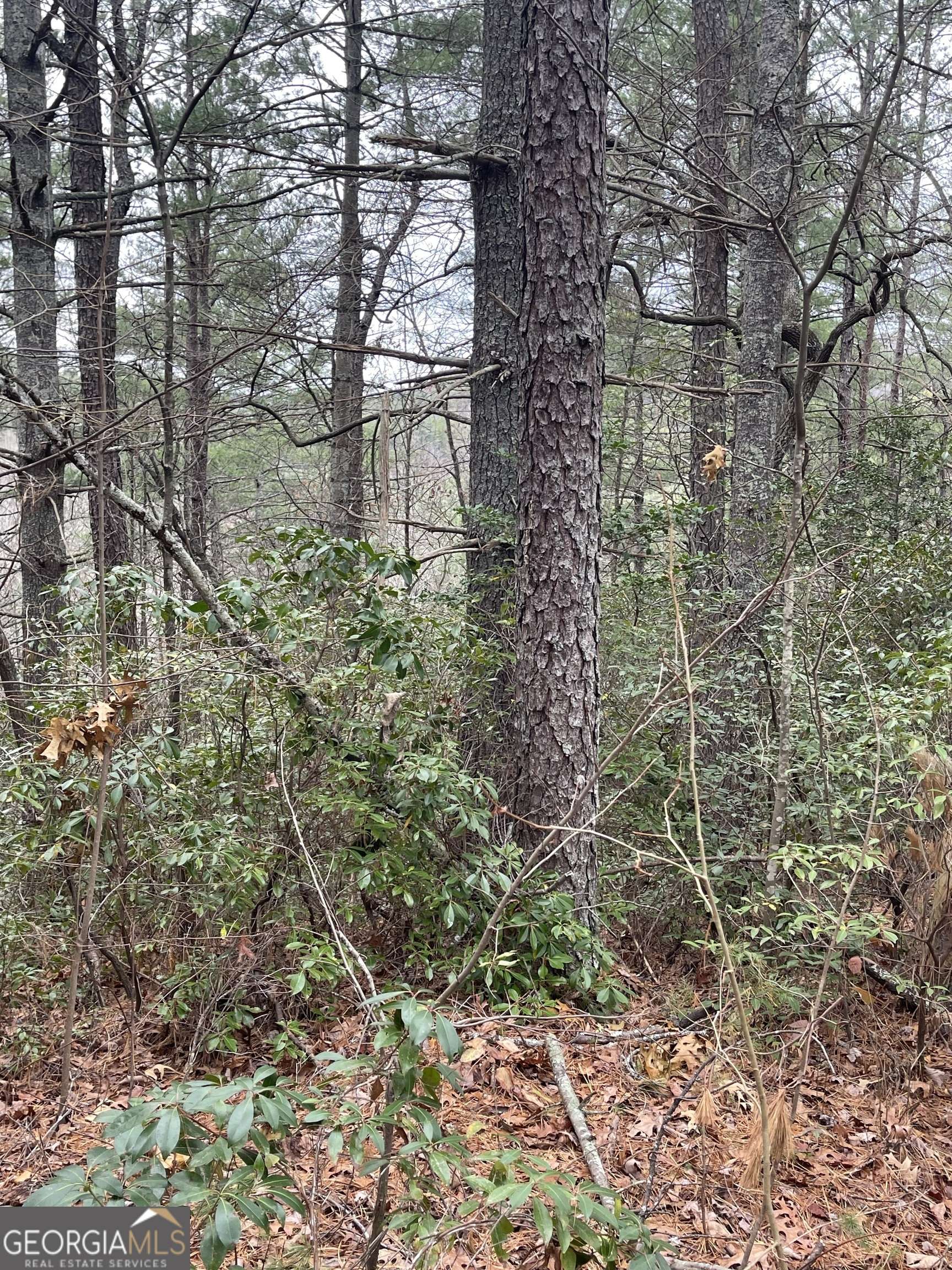 Tiger, GA 30576,00 Hidden Falls DR #LOT 6