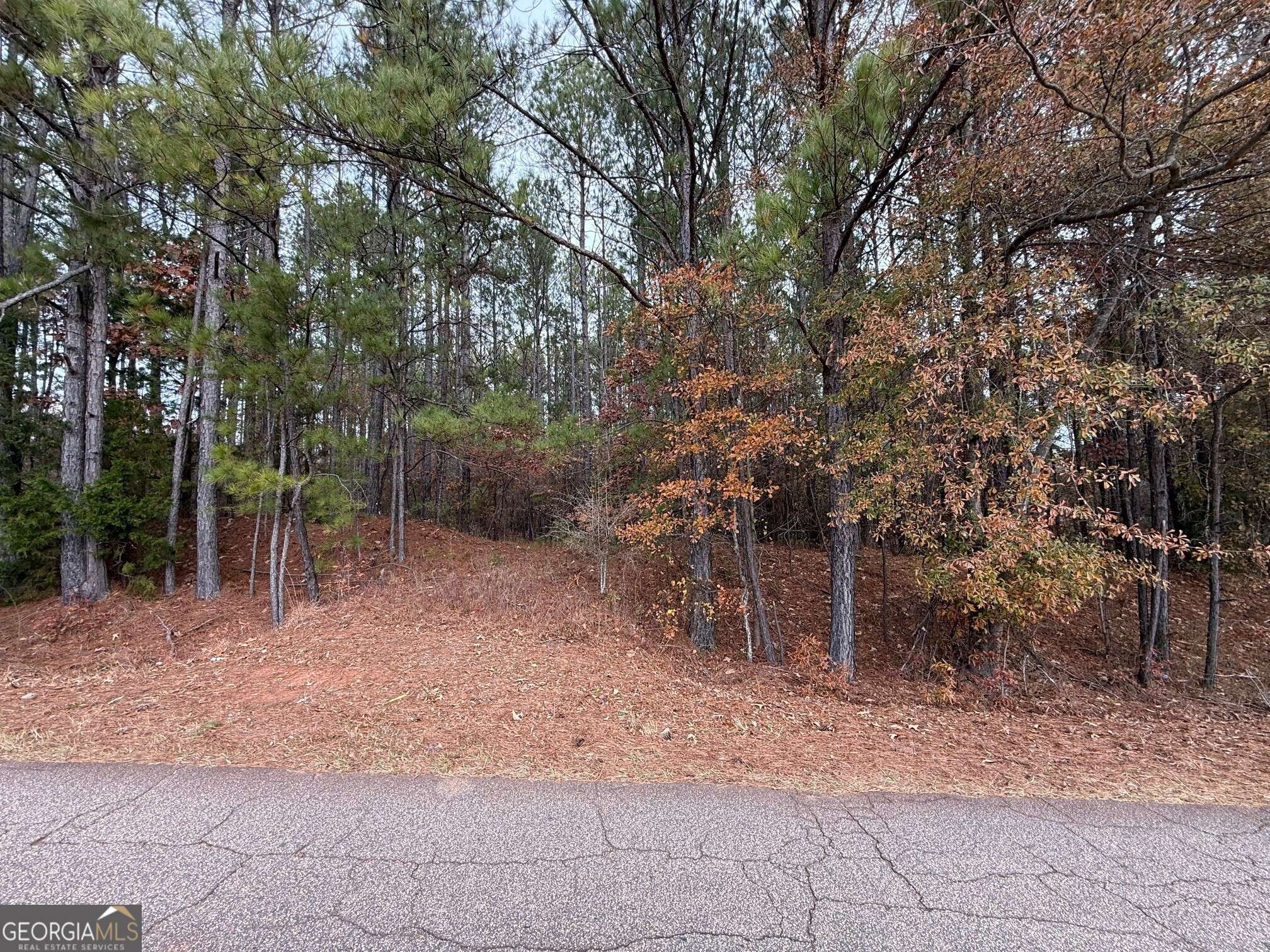 Greenville, GA 30222,0 Primrose RD #7.8+/- ACRES