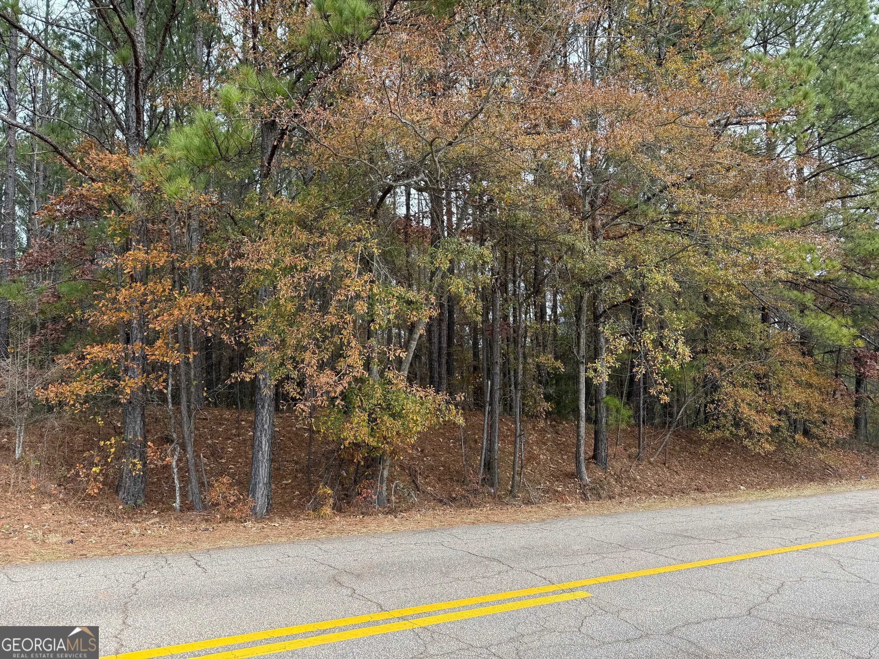 Greenville, GA 30222,0 Primrose RD #7.8+/- ACRES