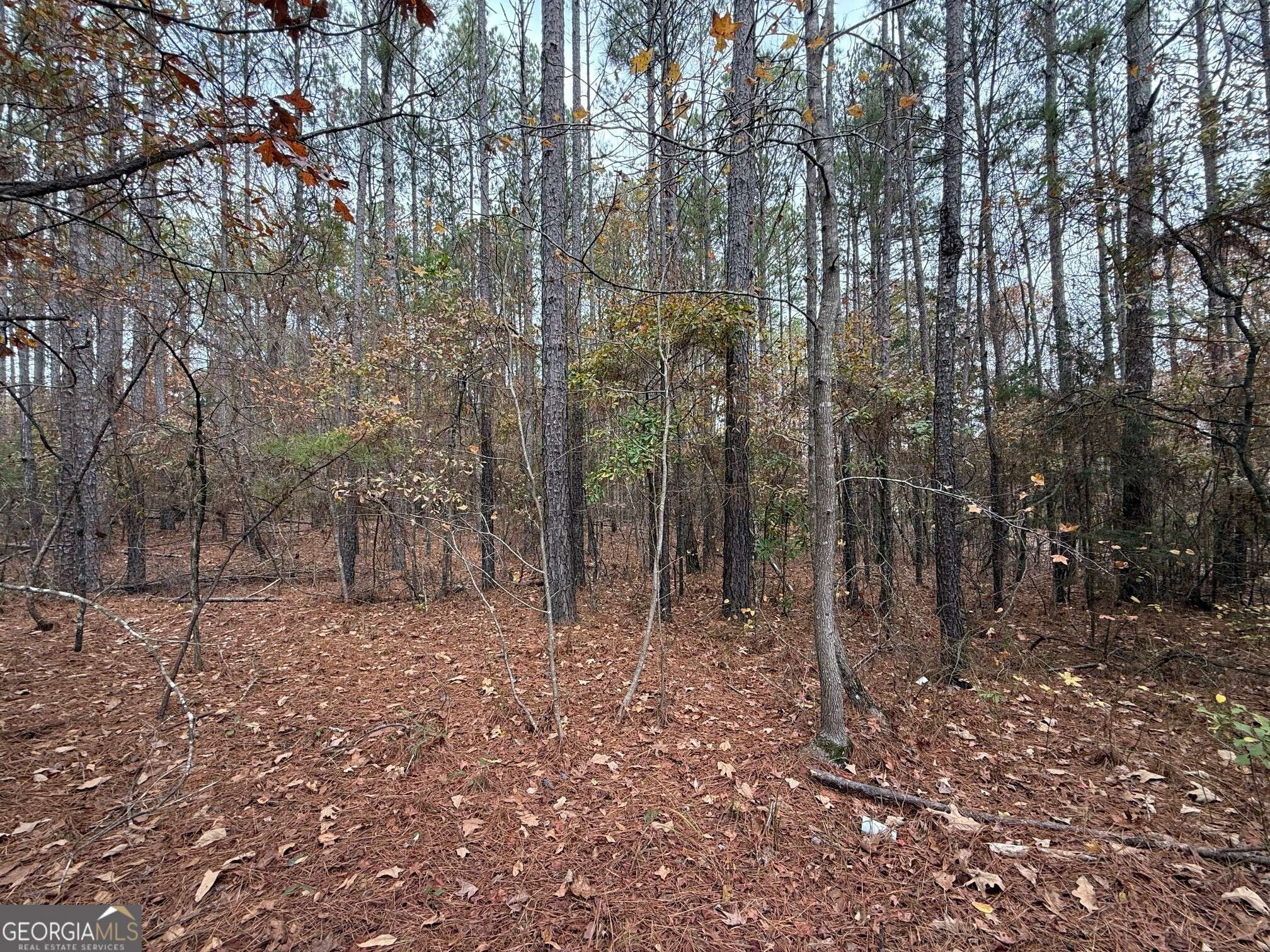 Greenville, GA 30222,0 Primrose RD #7.8+/- ACRES