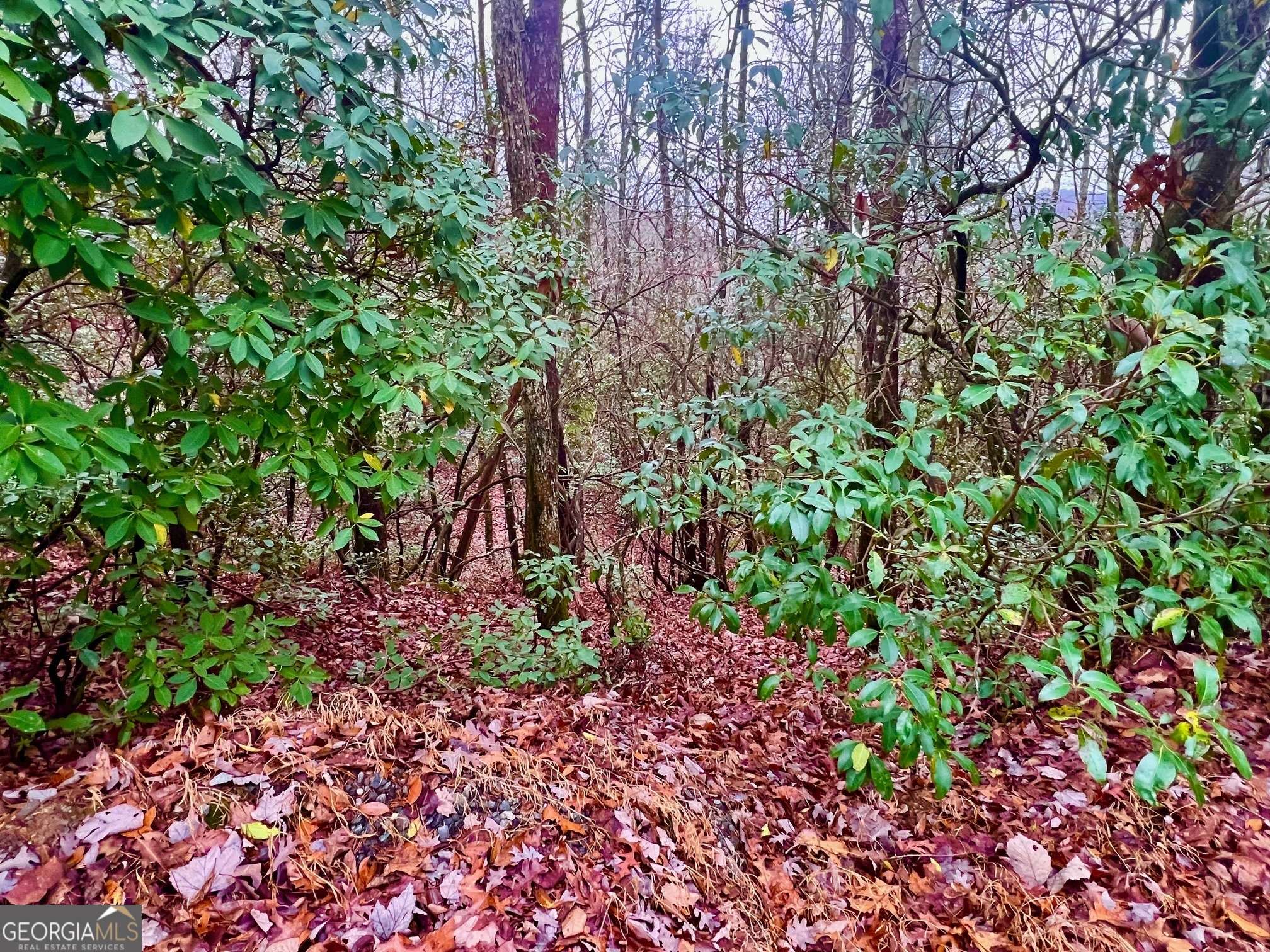 Cherry Log, GA 30522,18 Martin Crossing