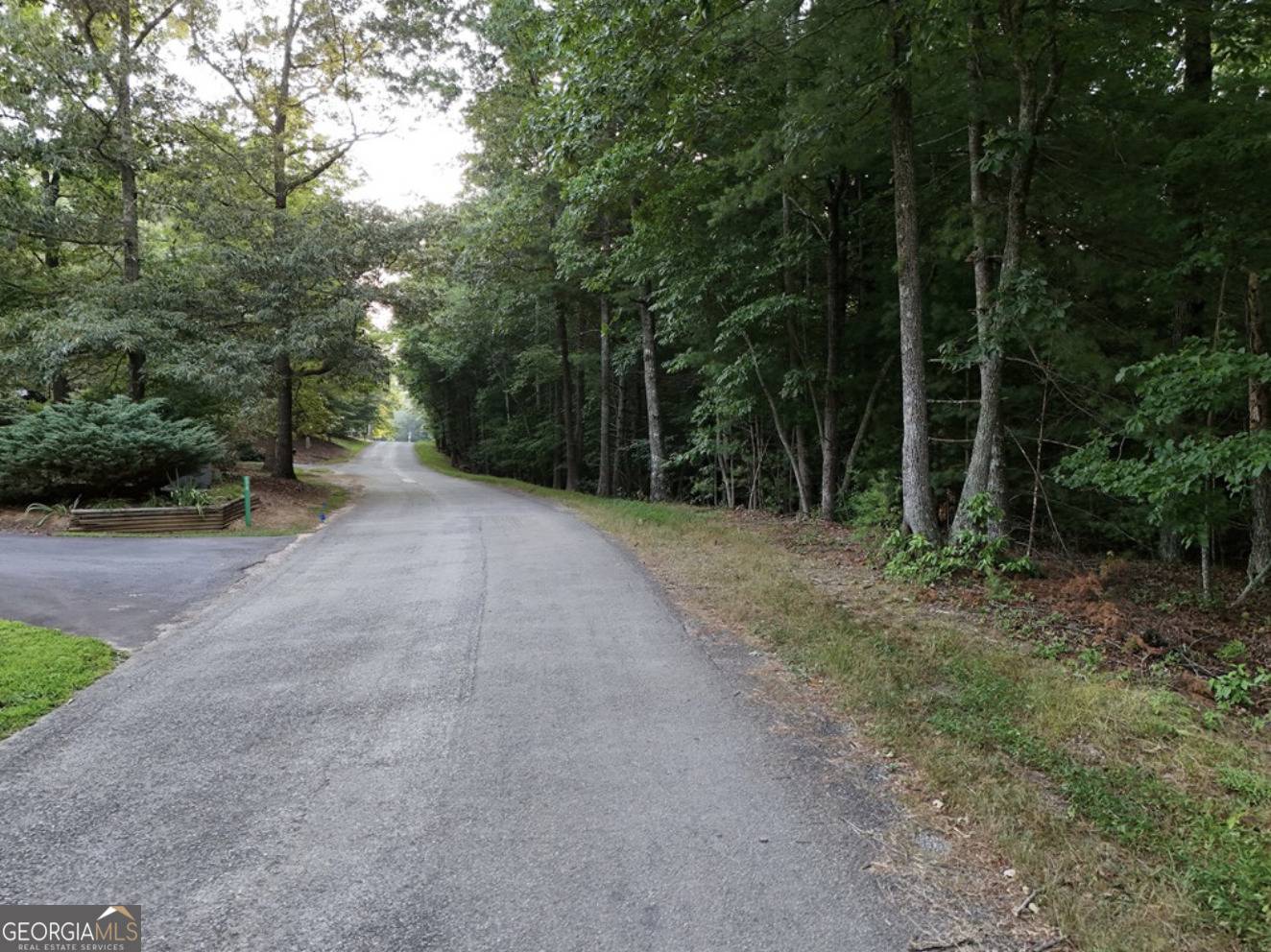 Blairsville, GA 30512,1 AC Jones Road