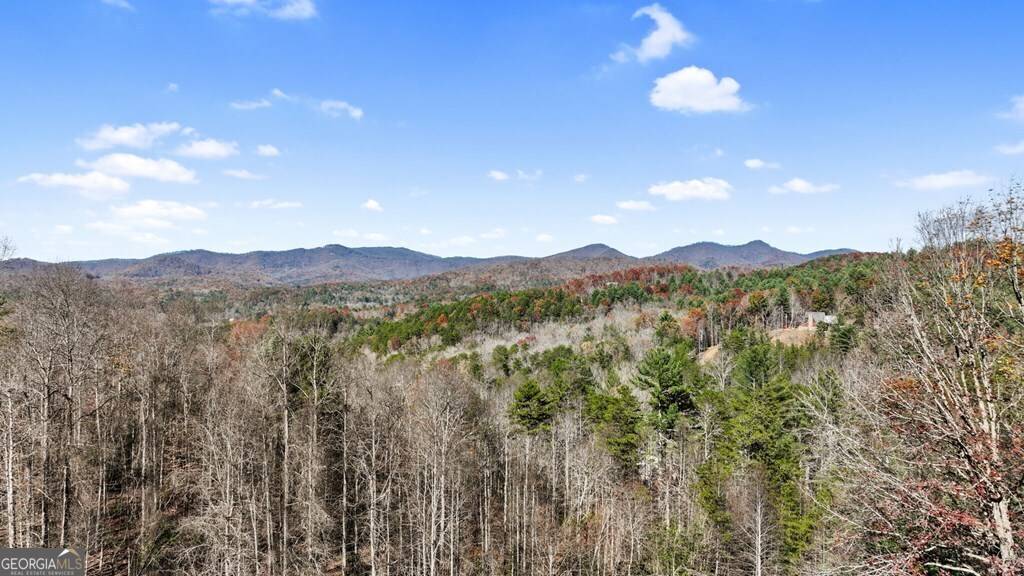 Mineral Bluff, GA 30559,119 Mountain High DR #14