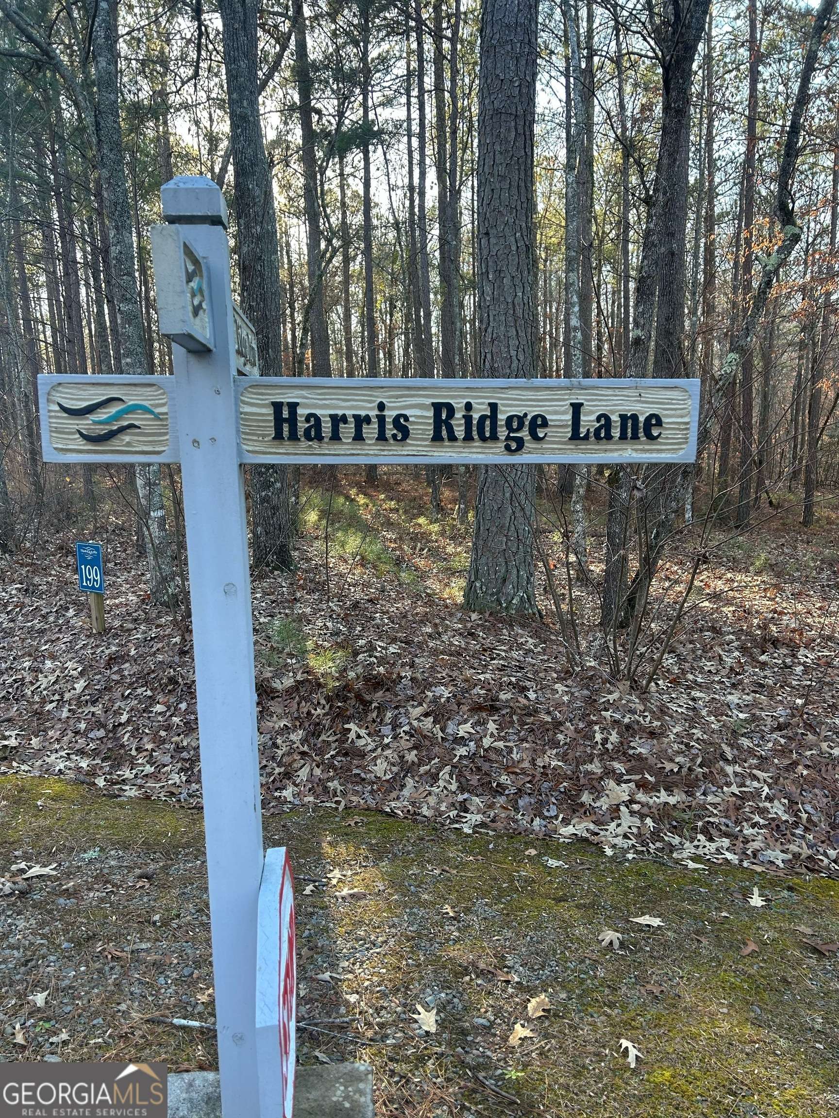 Ellijay, GA 30540,193 & 194 Harris Ridge LN