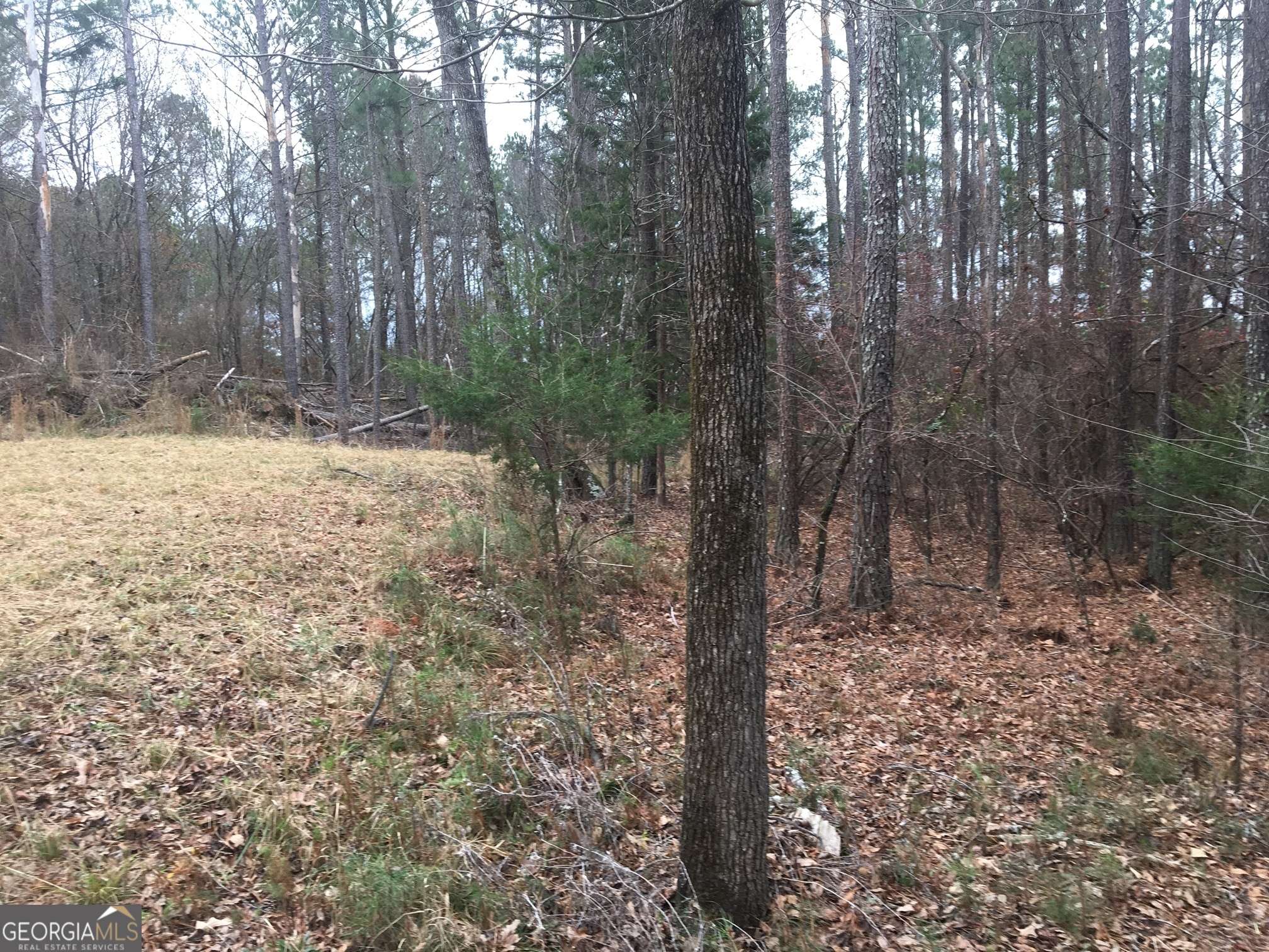 Stephens, GA 30667,336 Oconee Forest Road