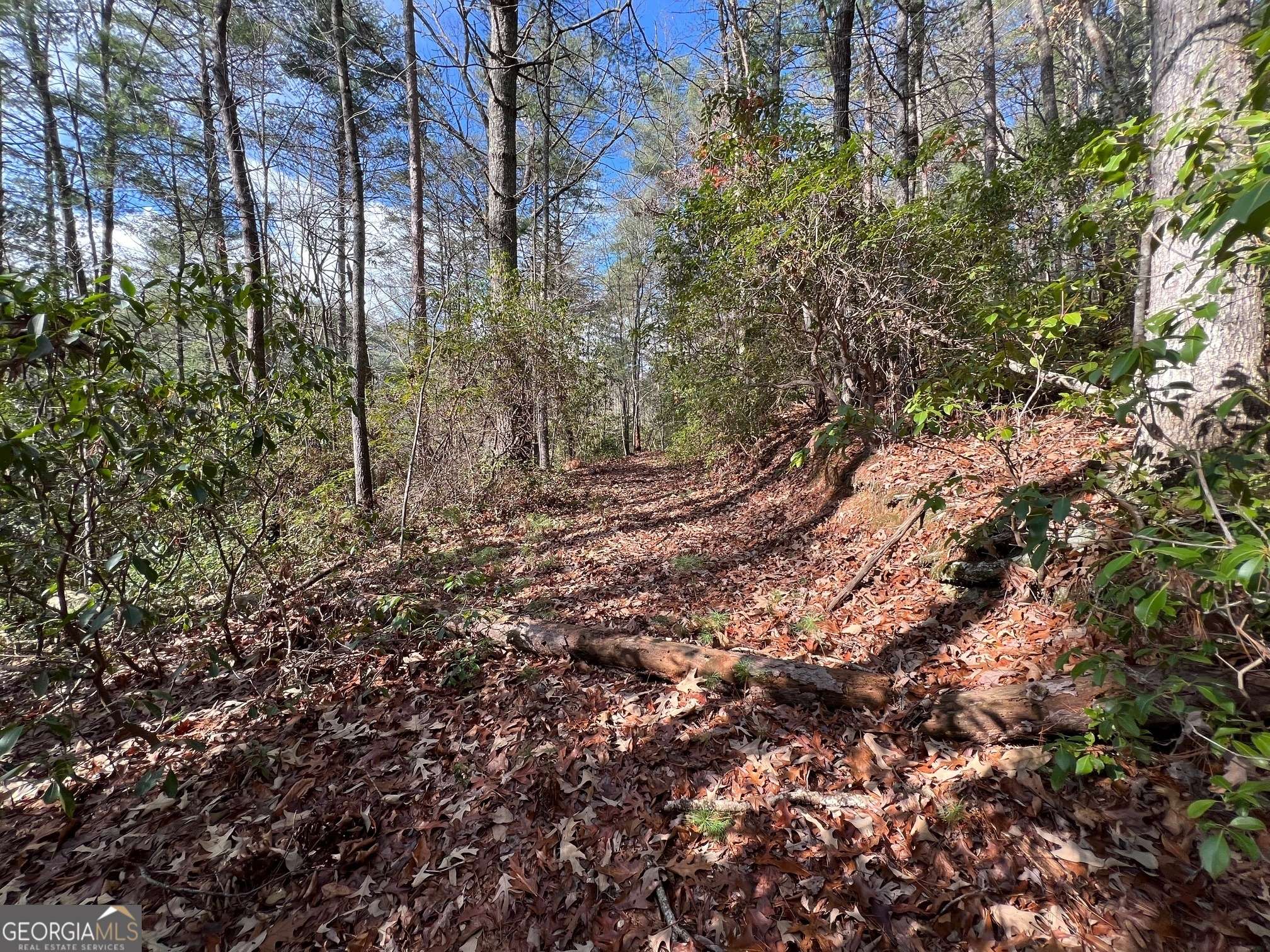 Cherry Log, GA 30522,00 Stanley Creek RD