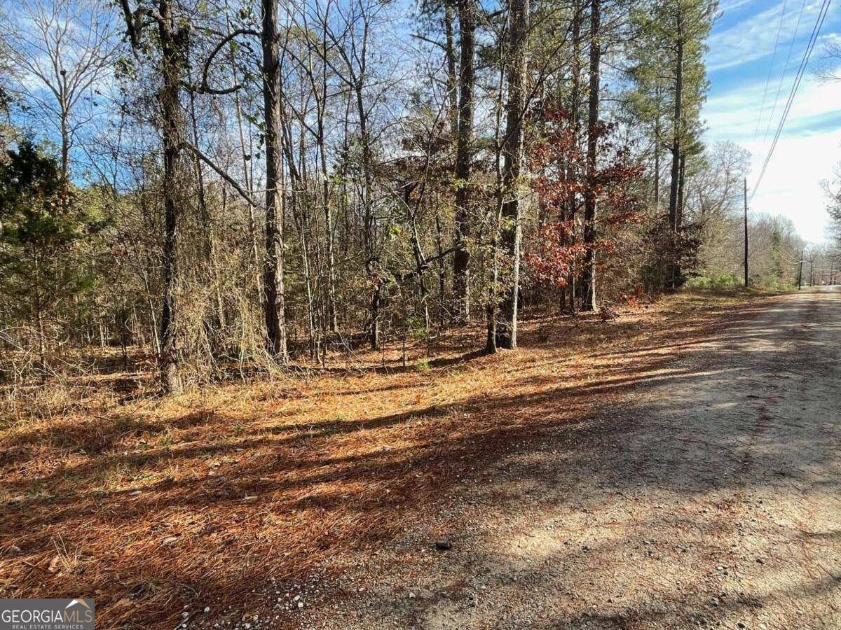 Elberton, GA 30635,LOT 17 Anderson HWY