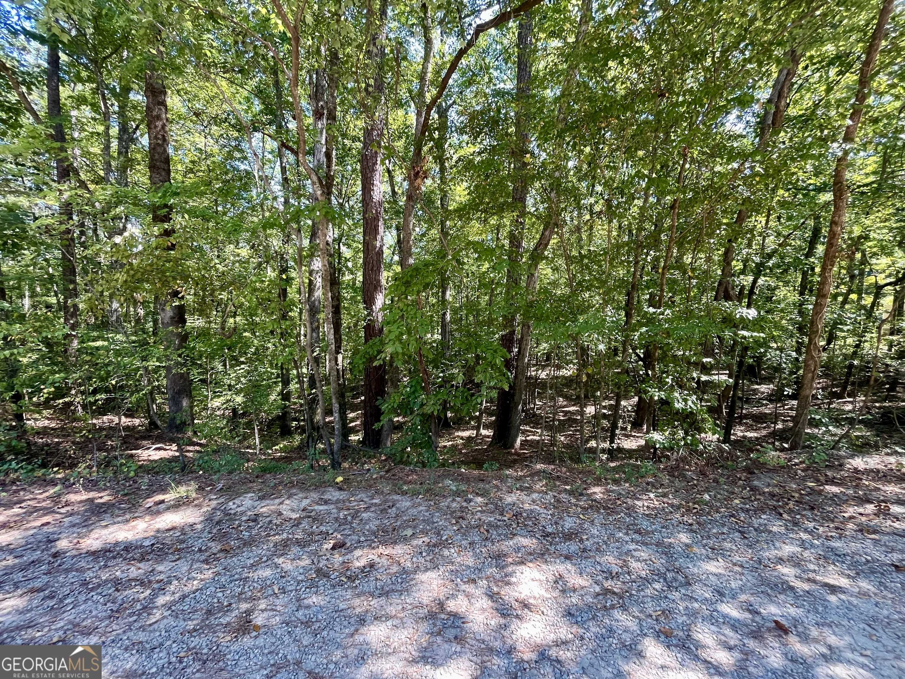 Monticello, GA 31064,0 Magpie CT #LOT 194