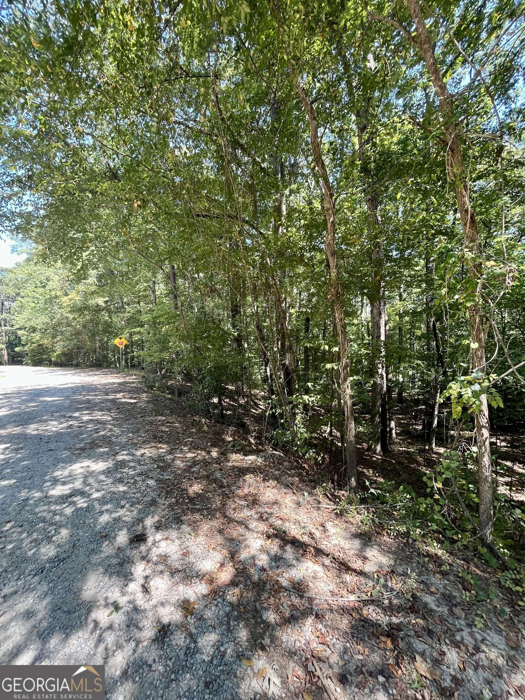 Monticello, GA 31064,0 Magpie CT #LOT 194