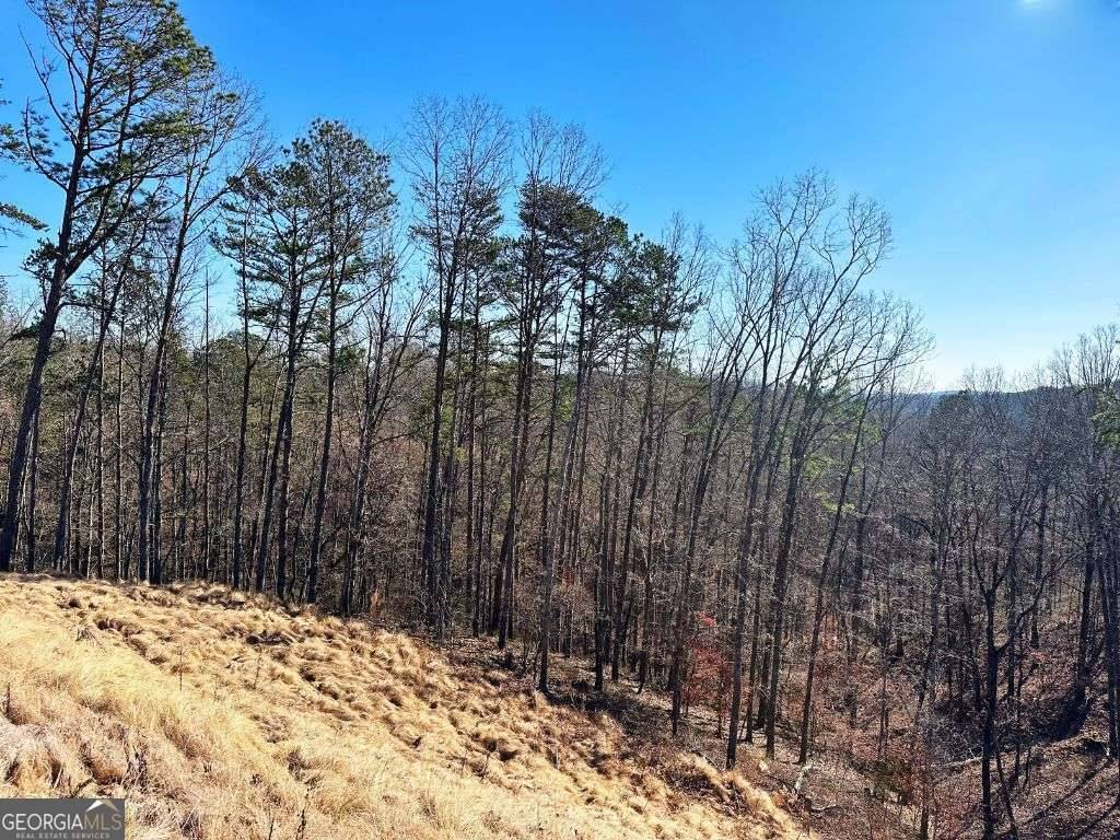 Talking Rock, GA 30175,LOT 244 Spear Point DR