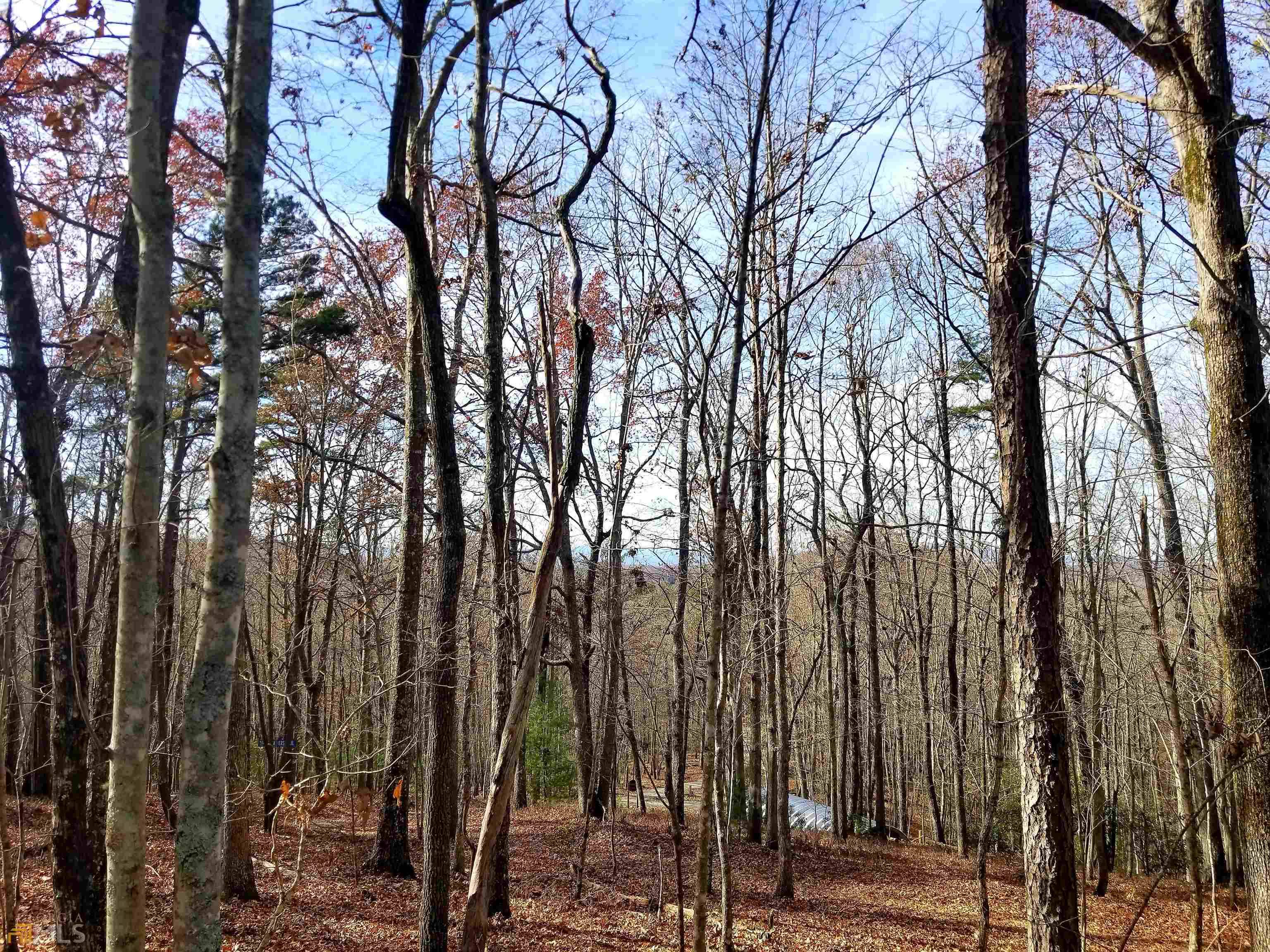 Morganton, GA 30560,4.53 Acres Richards Branch Rd