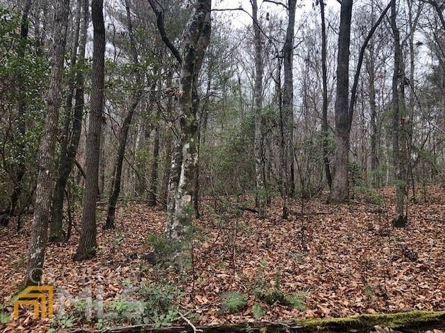 Morganton, GA 30560,00 Mitchell Branch Road