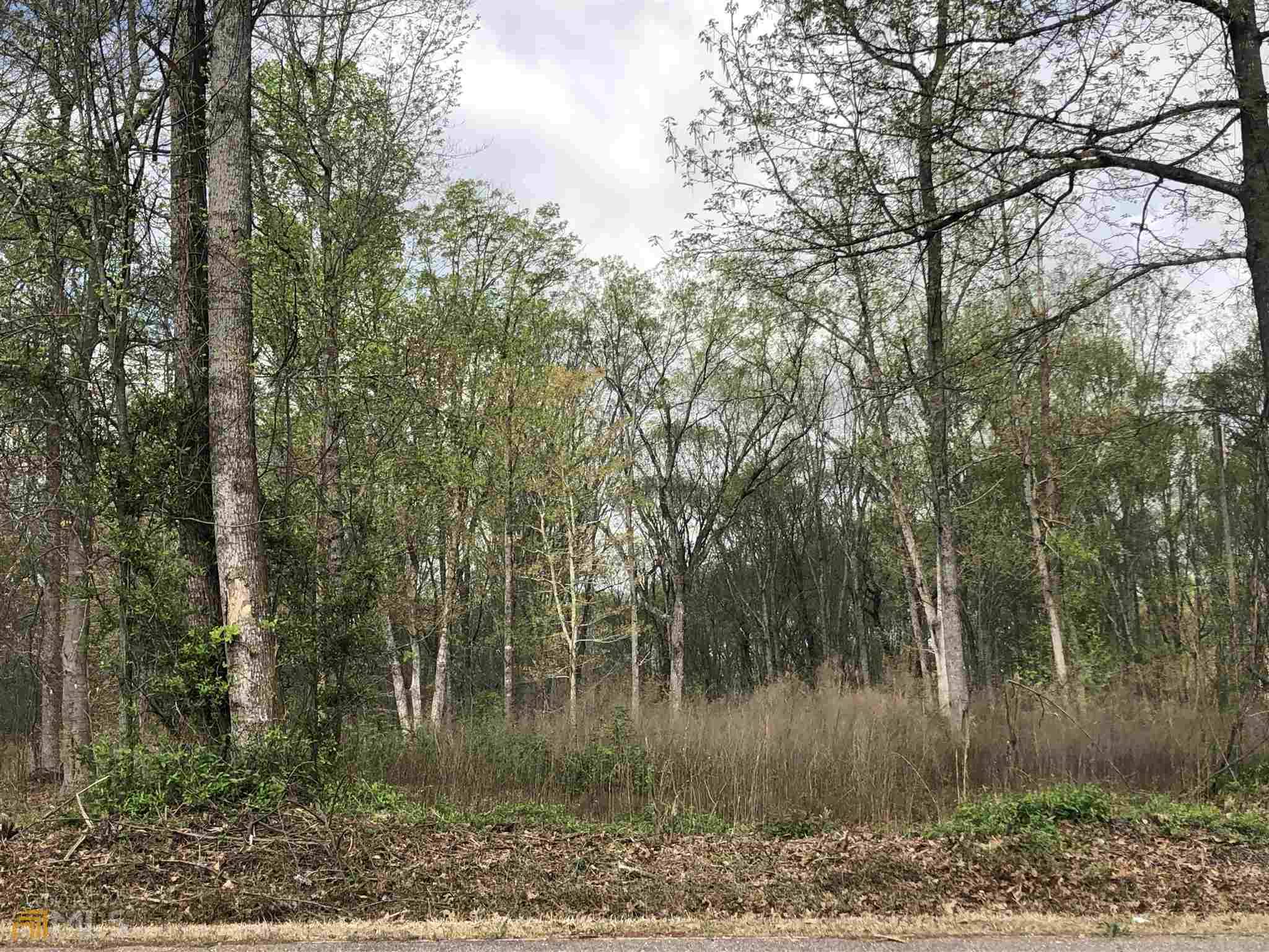 Homer, GA 30547,0 Scales Creek RD #LOT 12