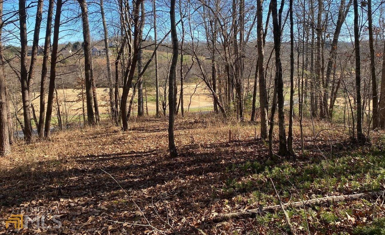 Blairsville, GA 30512,LOT 87 Owen Glen