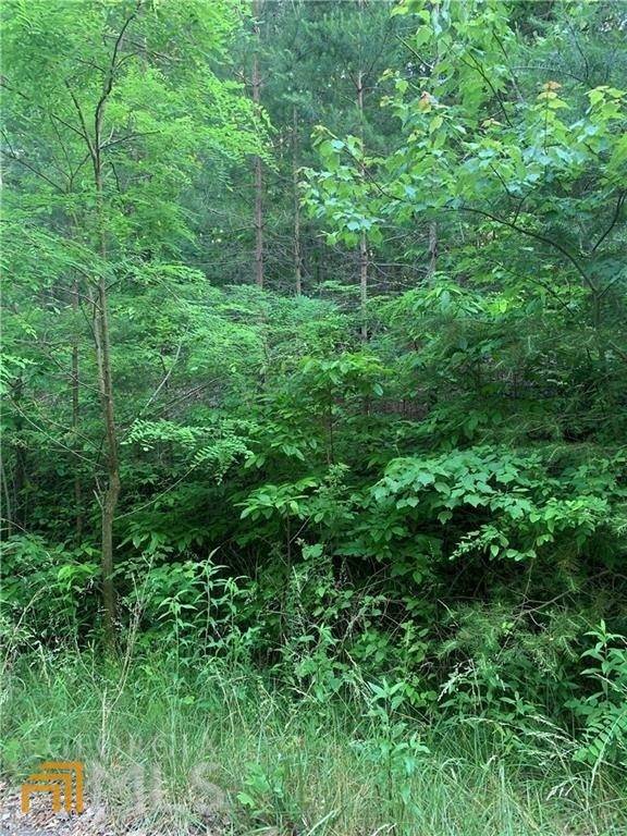 Ellijay, GA 30540,0 Black Bear CT #LOT 7