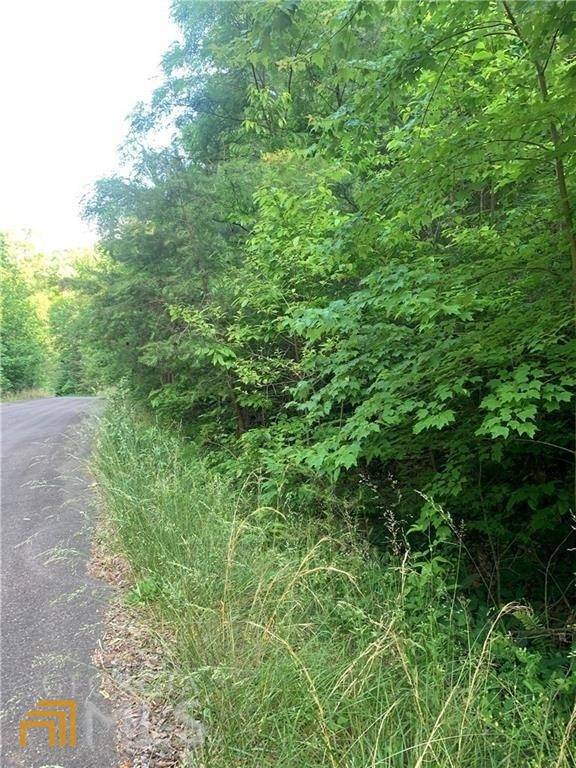 Ellijay, GA 30540,0 Black Bear CT #LOT 7