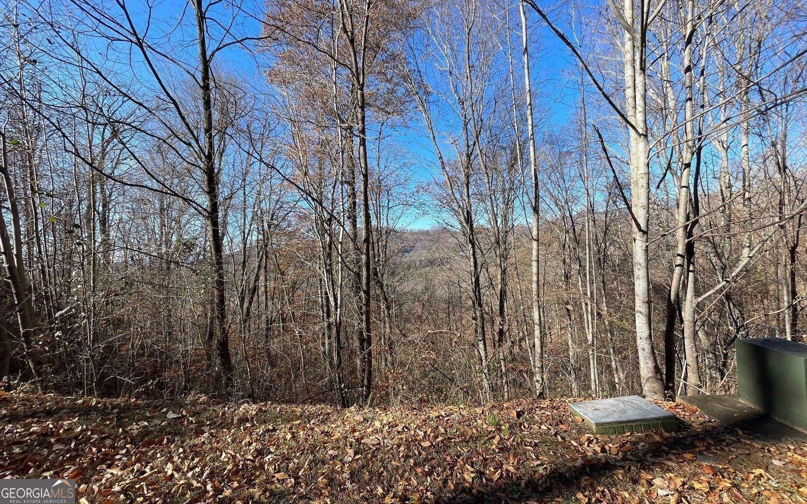 Hayesville, NC 28904,LOT 36M Mountain Harbour