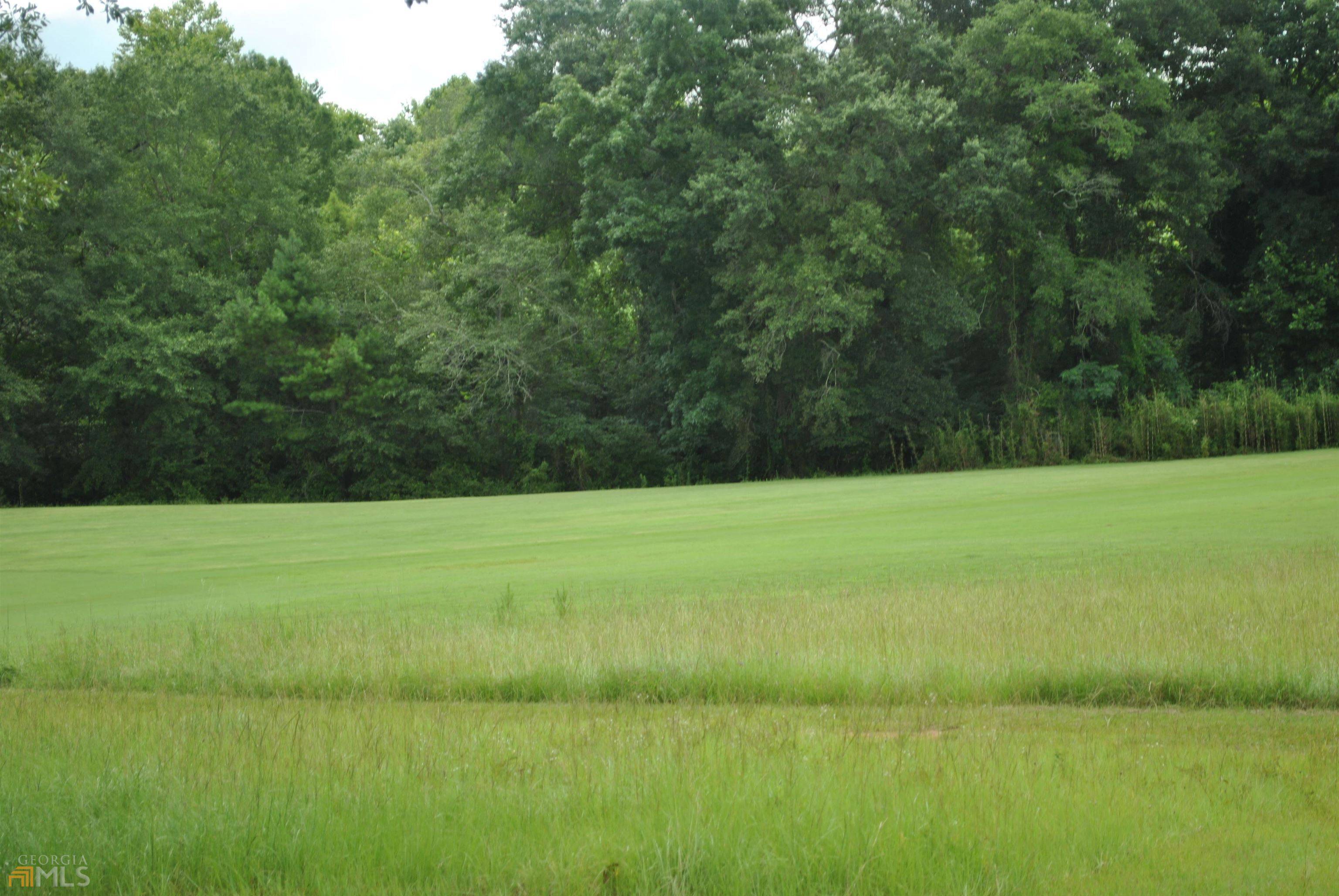 Hawkinsville, GA 31036,LOT 10 & 11 Charleston CIR