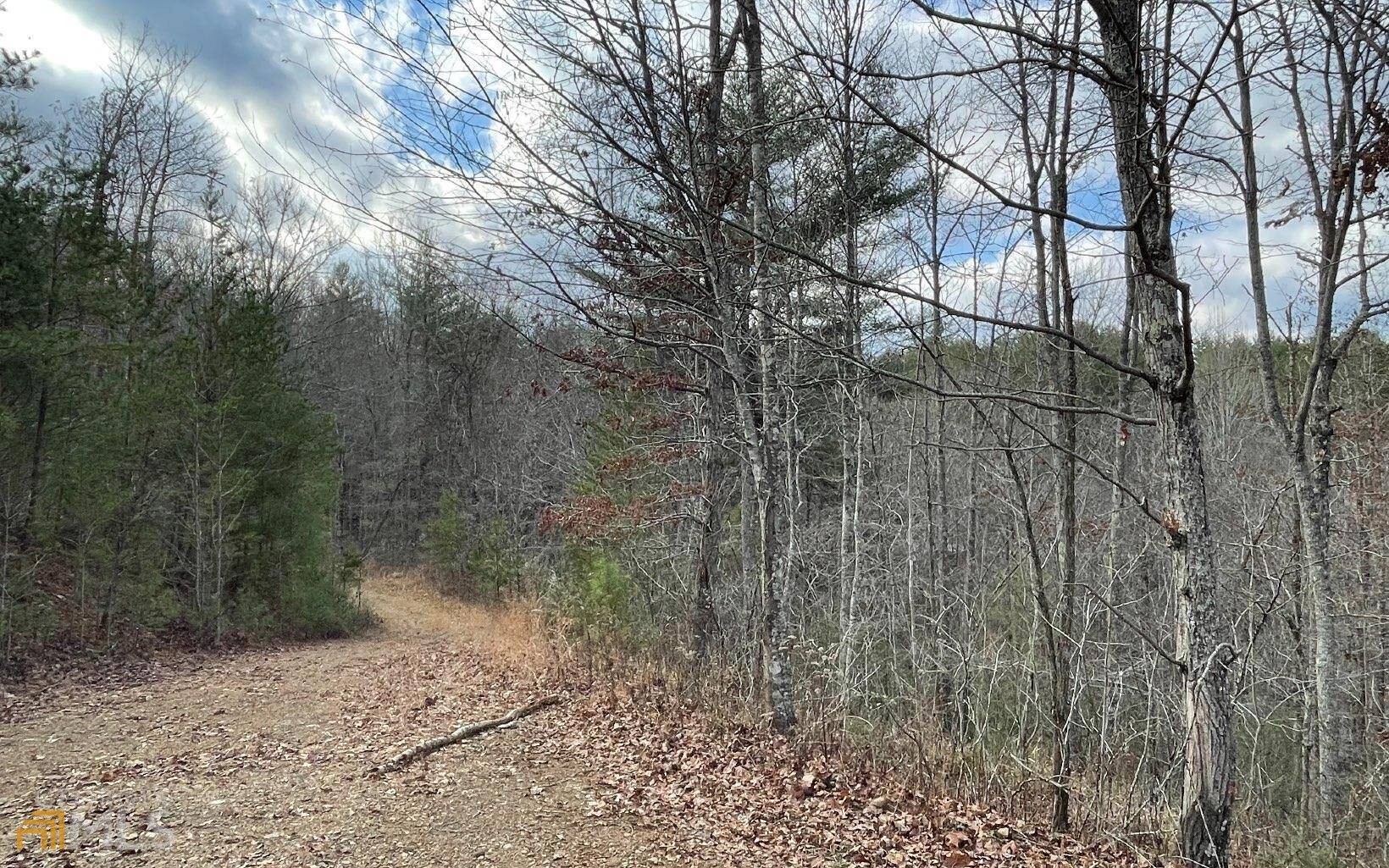 Hayesville, NC 28904,LOT 30 Trillium HTS