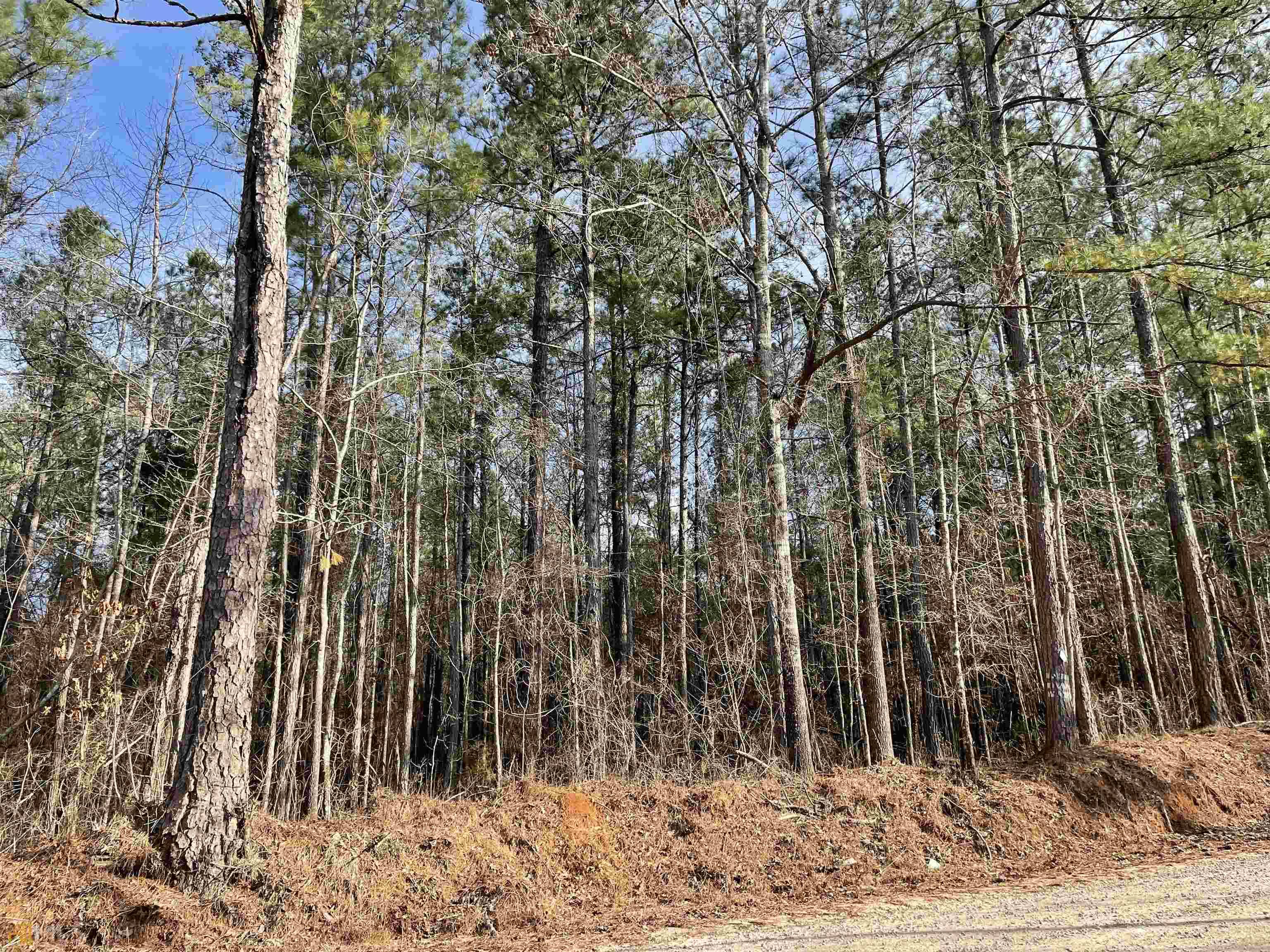 Zebulon, GA 30295,0 Glover Rd - Lot 2