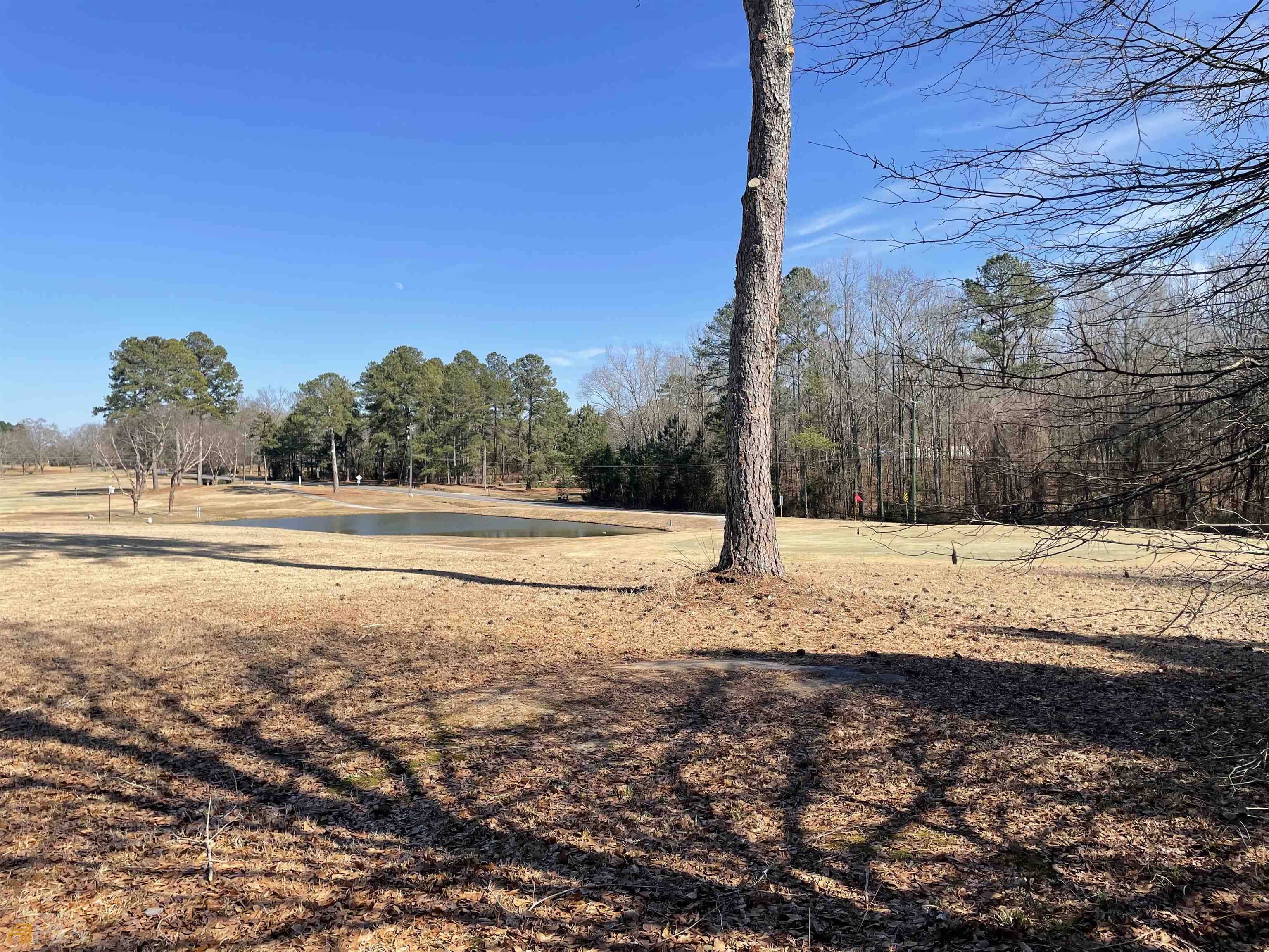 Elberton, GA 30635,0 Chip Shot Ln