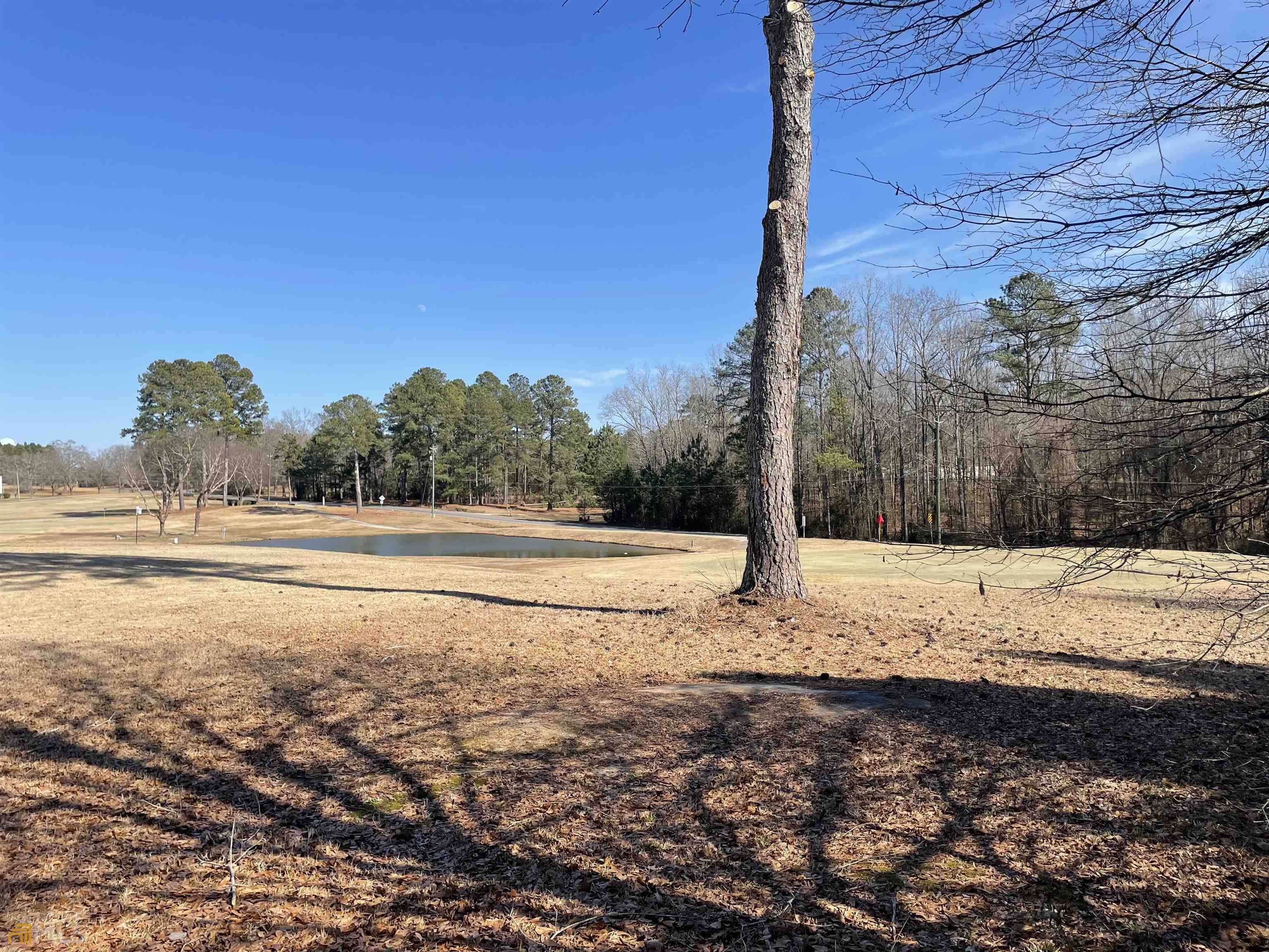 Elberton, GA 30635,0 Chip Shot Ln