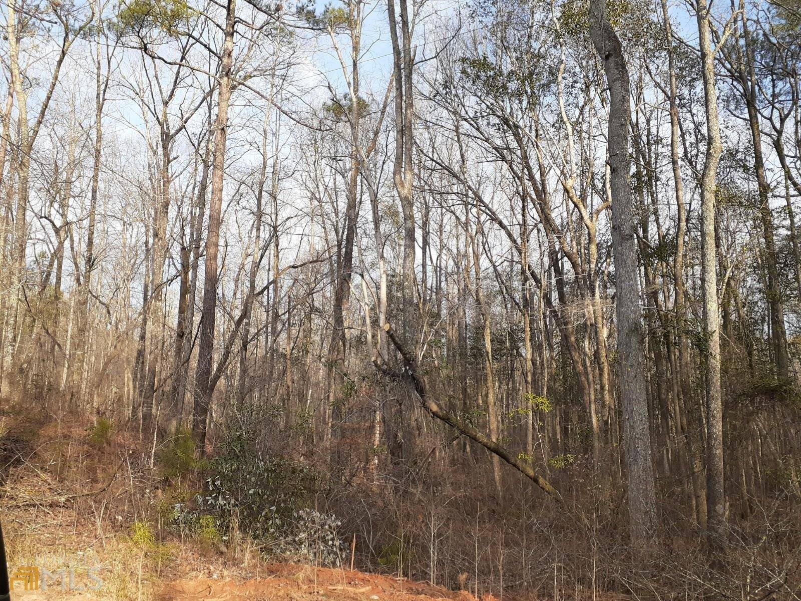 Zebulon, GA 30295,LOT 8 Glover RD