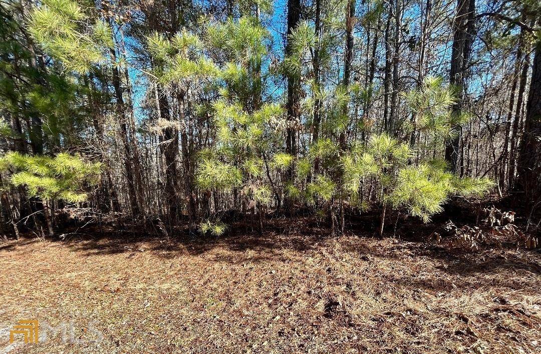 Monticello, GA 31064,0 Prairie Chicken CT #LOT 22