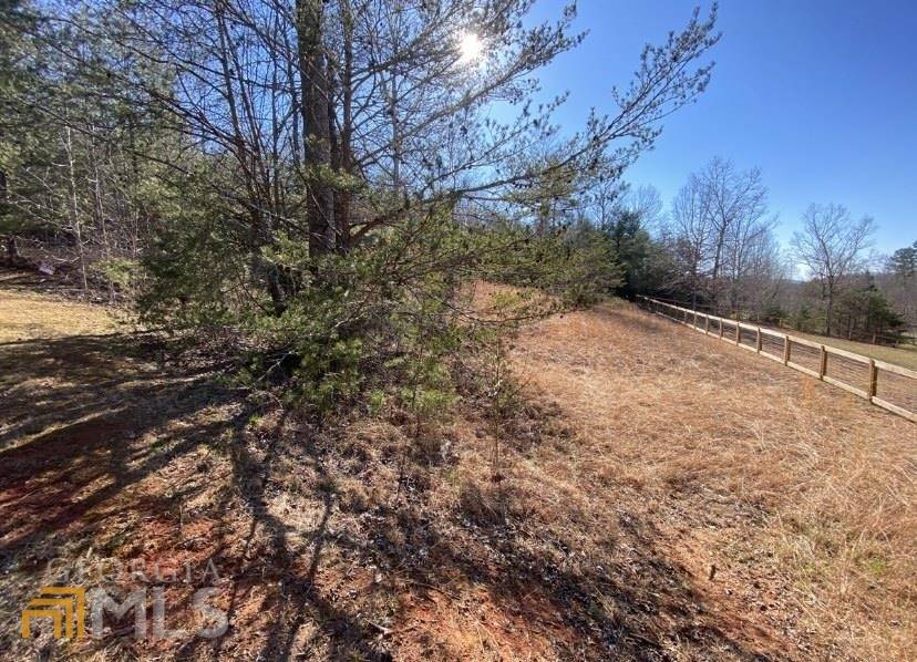 Cleveland, GA 30528,LOT 16 Stone Hearth Dr.