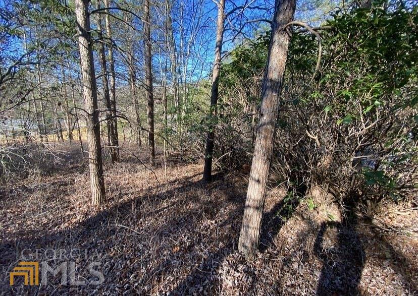 Cleveland, GA 30528,LOT 16 Stone Hearth Dr.