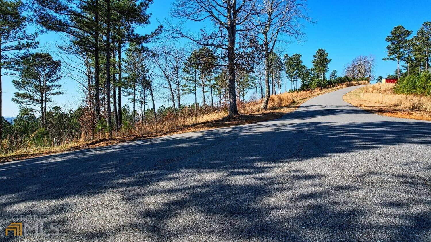 Blairsville, GA 30512,LOT 14 Mile High LN