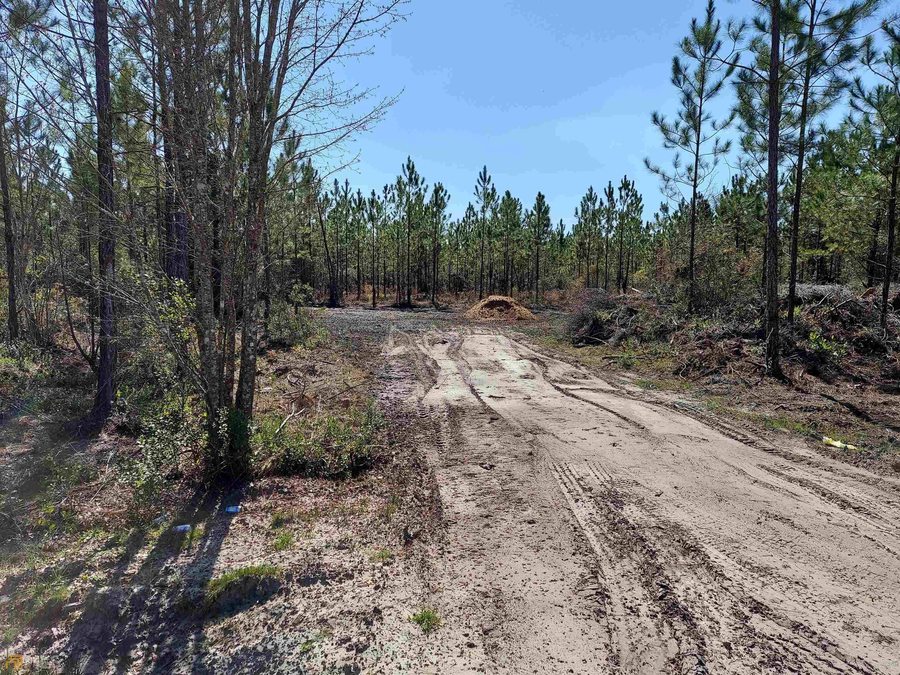 Folkston, GA 31537,LOT 2 Jm Jackson RD