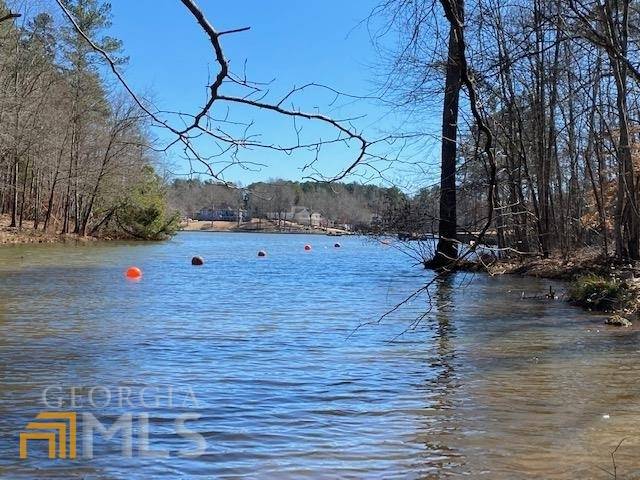 Newnan, GA 30263,LOT 31 Waterview Circle