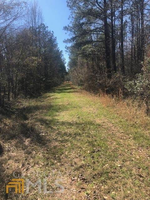 Sandersville, GA 31082,34.7 Acres Hwy 24 HWY W