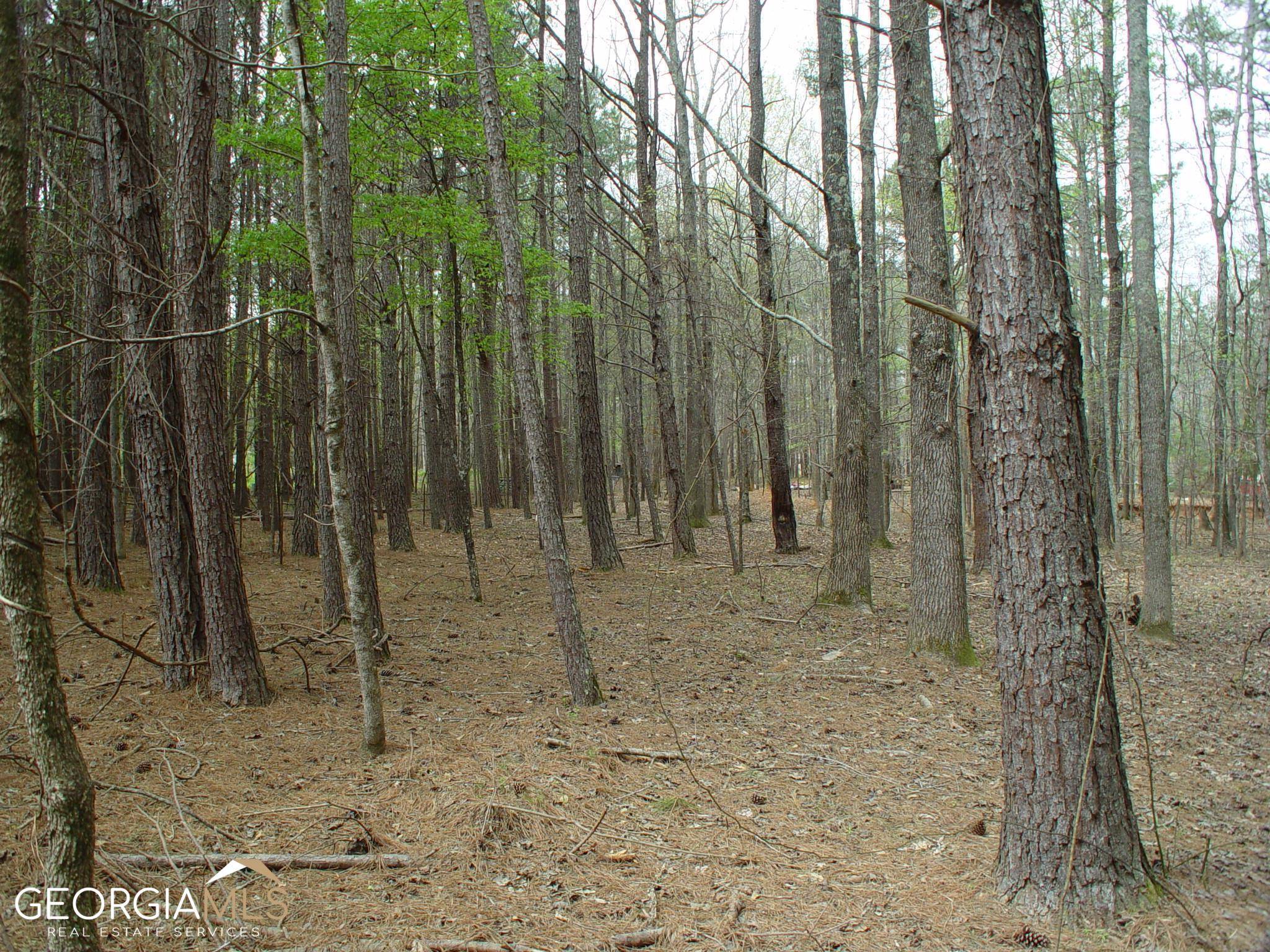 Mcdonough, GA 30253,LOT 3 Chambers RD