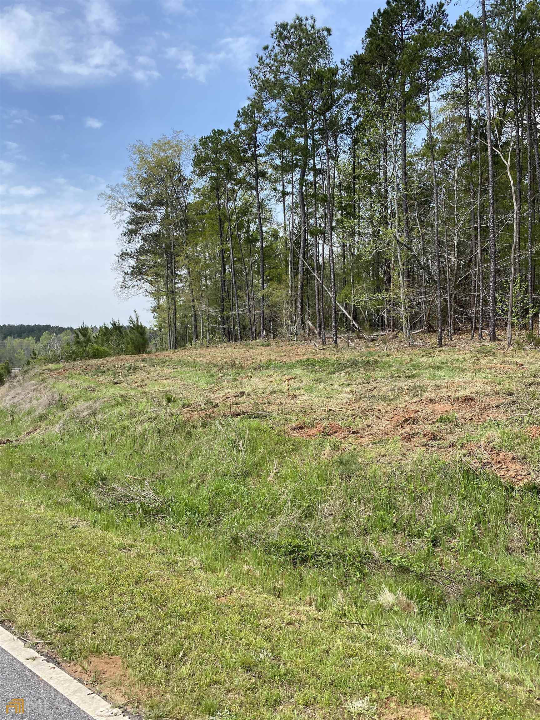 Carlton, GA 30627,LOT 1 River Bend DR #LOT 1