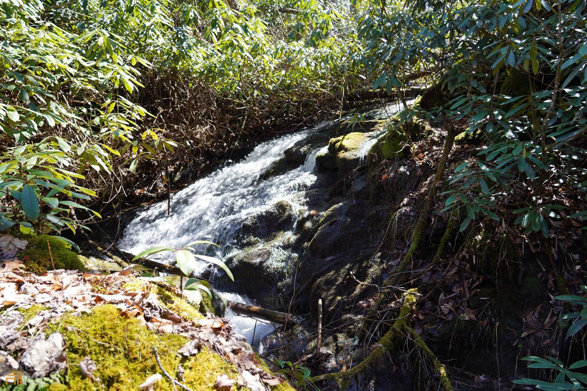 Scaly Mountain, NC 28775,0 Evans Creek RD