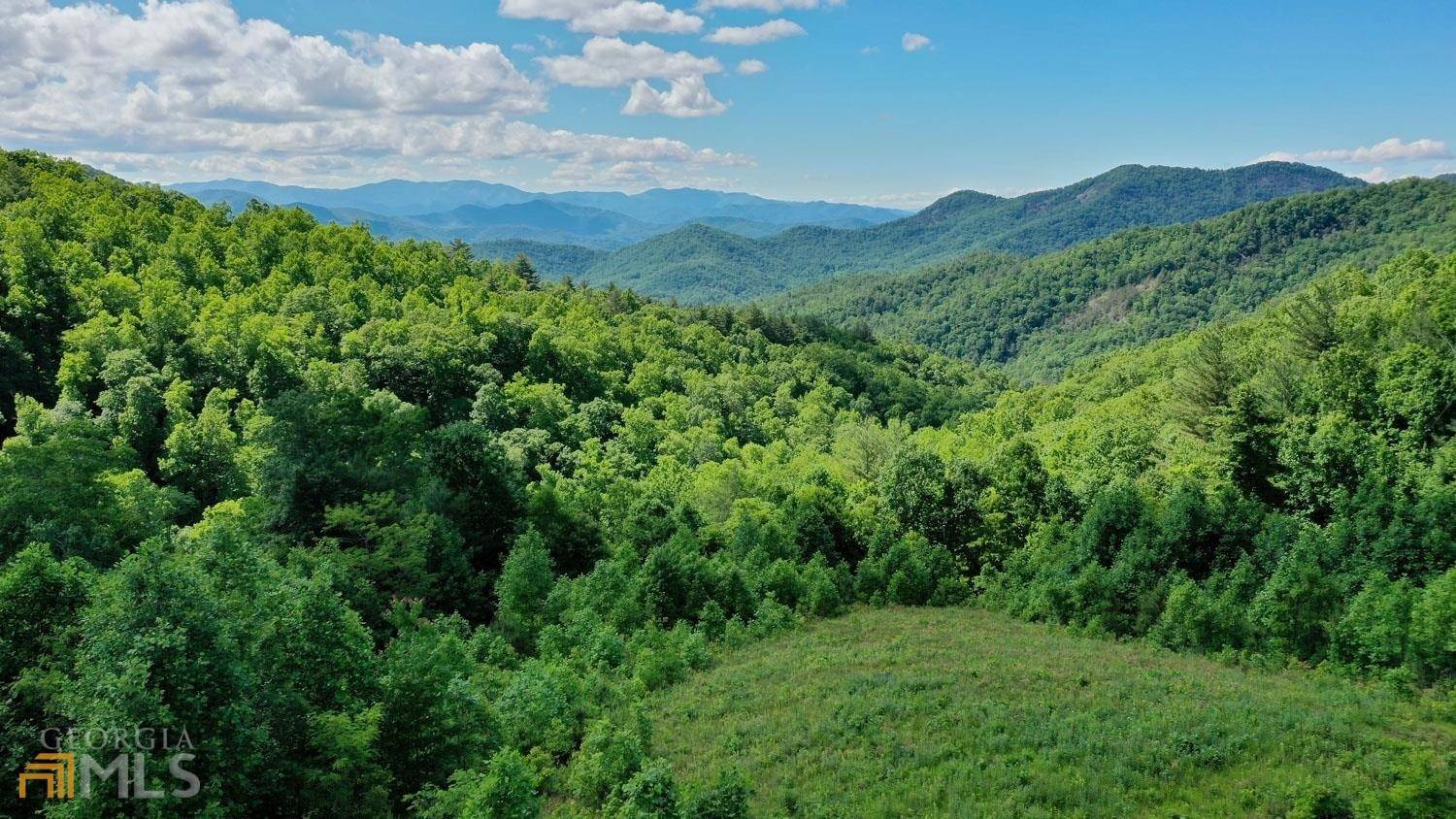 Scaly Mountain, NC 28775,0 Evans Creek RD