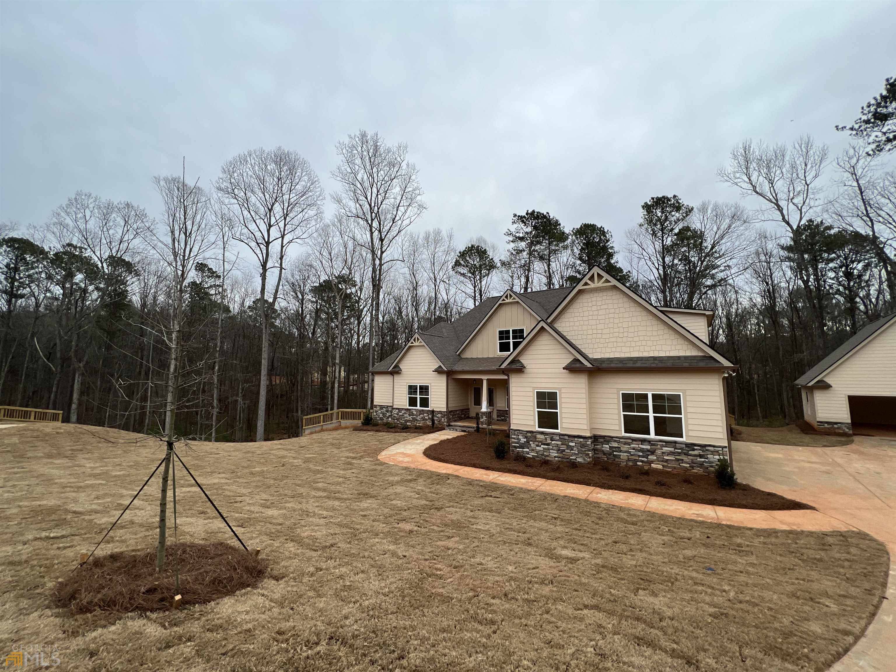 Newnan, GA 30263,LOT 17 Emery Nell LN #17